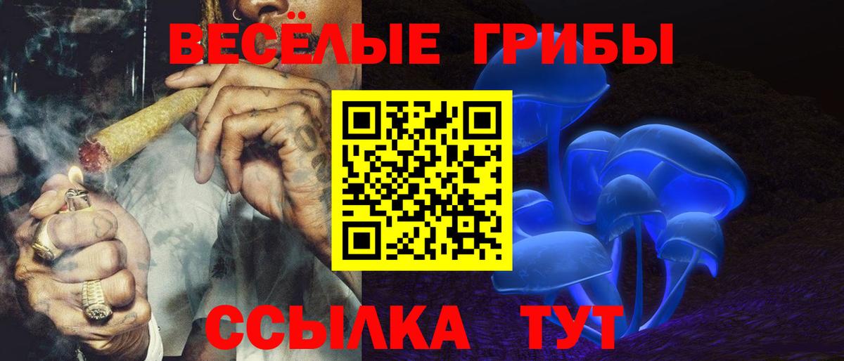 Галлюциногенные грибы Cubensis Гусев