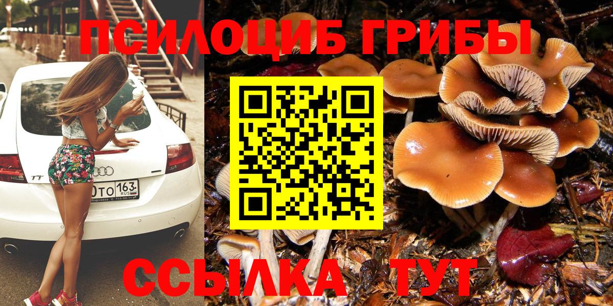 Псилоцибиновые грибы Cubensis  Галлюциногенные грибы мицелий  Гусев  Вход с VPN 